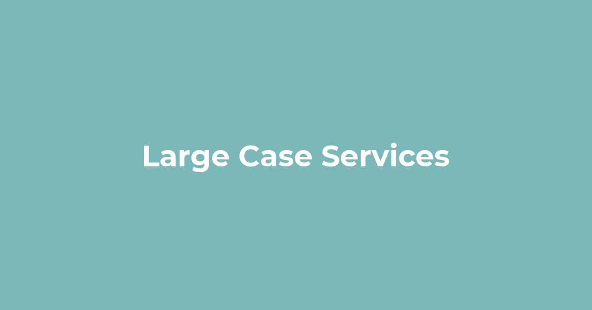 What We Do: Large Case Services (Information & Resources for Complex Dispute Resolution Cases) post